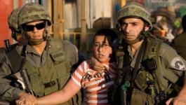 الاحتلال يحتجز طفلًا قرب الحرم الإبراهيمي بالخليل