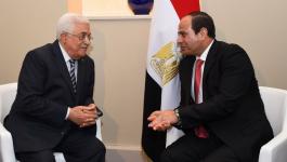 أبو ردينة: القمة الفلسطينية المصرية داعمة للقضية الفلسطينية