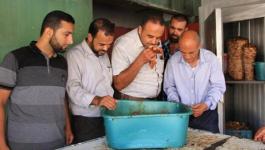 اتلاف شاورما