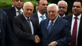 نبيل العربي وعباس