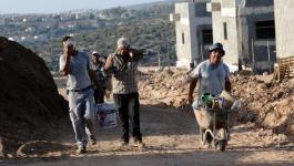 منع إدخال الفلسطينيين للعمل في مستوطنات رام الله.jpg