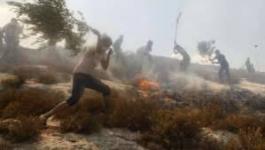 حرائق في بورين 