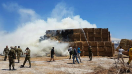 اندلاع حريق كبير في ناحل عوز شرق غزة بفعل بالون حارق