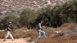 المستوطنون-يهاجمون-الفلسطينيين