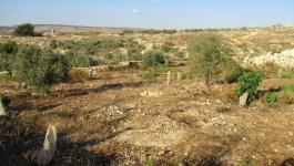 الاحتلال يمنع مزارعي جيوس من دخول أراضيهم الواقعة خلف الجدار