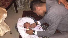 11947496_1643032769309331_5964664568840663200_n