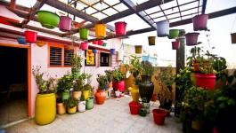 11011808_1093630204012732_4058678913741892104_n