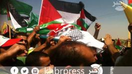 11868802_10205901022897927_742689663_n