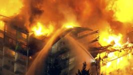الدفاع المدني يخمد حريق كبير يلتهم أشجار الزيتون واللوز في جنين