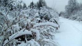 xin_e6e9f8ee581c406299d79fdcec325733