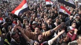 مصر: مقترح ينص على فرض ضرائب على المواليد الجدد 