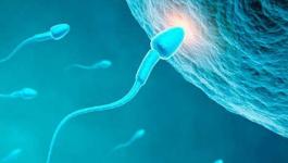 فحص الحيوانات المنوية