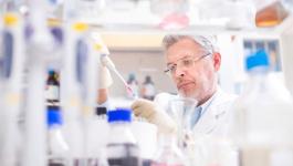 iStock_000035246652_Large