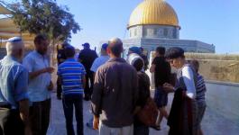 مستوطنين يالقدس المحتلة