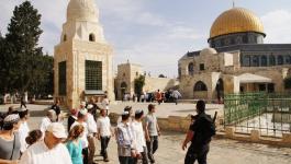 اقتحام المسجد الأقصى من قبل منظمة طلابية.jpg