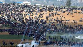 بلدية مونتيا الإسبانية تدين الهجمات ضد المتظاهرين والصحفيين في قطاع غزة