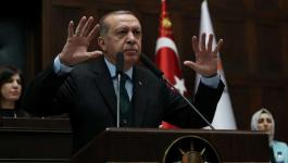 أردوغان: سننتقل لاستراتيجية جديدة بعد محاصرة عفرين