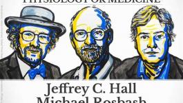 3 علماء أمريكيين يفوزون بجائزة نوبل للطب لعام 2017.jpg
