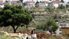 سلطة الأراضي تشرع بتثبيت نقاط المرجع الجيوديسي الفلسطيني