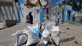 الأمم المتحدة تحذر من تعليق برنامج المساعدات الغذائية للفلسطينيين.jpg