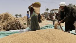 السودان تجدد قرار حظر الاستيراد من مصر وعبرها