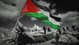 وليد زغلول أول فلسطيني يفوز بعضوية المجالس المحلية في بلجيكا