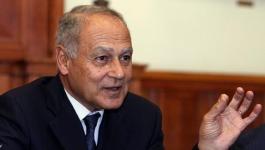 أبو الغيط يؤكد ضرورة توفير الدعم العربي للاقتصاد الفلسطيني