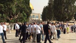 عشرات المستوطنين يداهمون المسجد الأقصى بحراسة مشددة