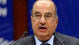 الزعنون: الإرهاب على مصر يُعد استهداف للأمن القومي العربي