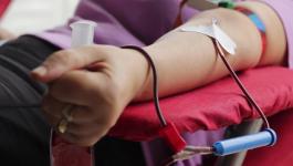 جنين تطلق حملة التبرع بالدم لقطاع غزة