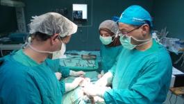 أطباء.وزارة الصحة تُعلن عدد الأطباء البشريين في فلسطينjpg