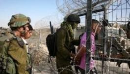 الاحتلال يعتقل 3 شبان على الشريط الحدودي شرق غزة.jpg