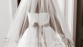 صورة للفستان من الخلف 