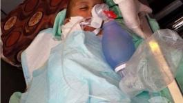 الطفل-دوابشة