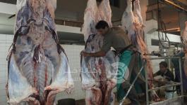 11742892_886766348079712_597753418741030398_n