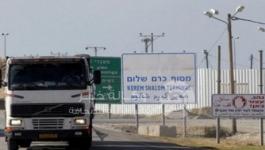  كرم أبو سالم