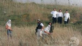 المستوطنين 