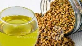 الحلبة
