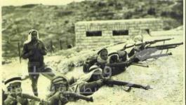 معركة اليامون