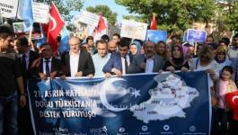 احتجاجات في تركيا 