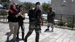 اعتقال سيدة