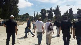 اقتحامات الاقصى2