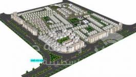 التنمية والاصلاح