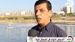 أحواض الموت