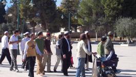 مستوطنين داخل المسجد الأقصى 