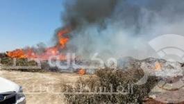 حريق