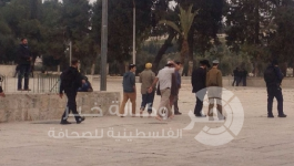 مستوطنين في باحات الاقصى
