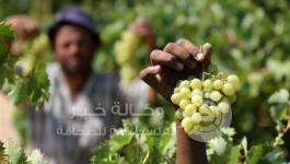 24d6e0f067208c34ede29da5b0c19a5a