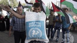 احتجاجات-الوكالة