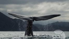 820151853111827MID_257828hero